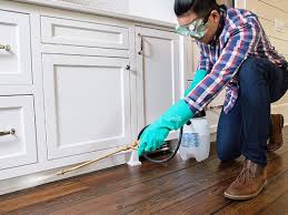 Best Pest Prevention Services  in Chester, PA